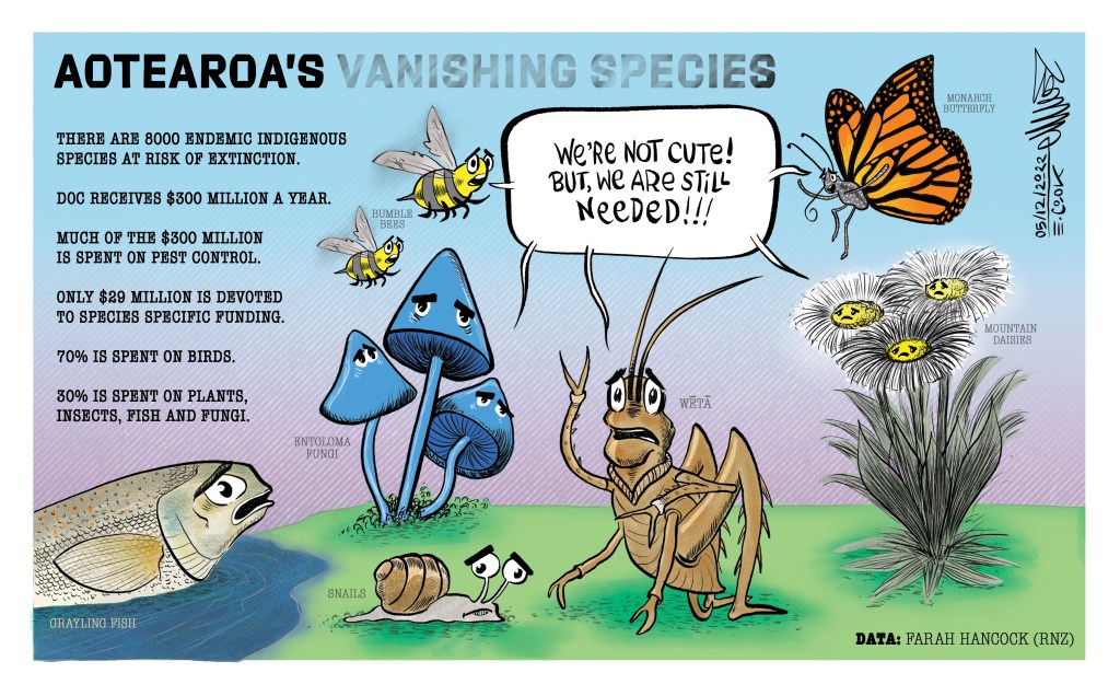 Aotearoa’s vanishing species