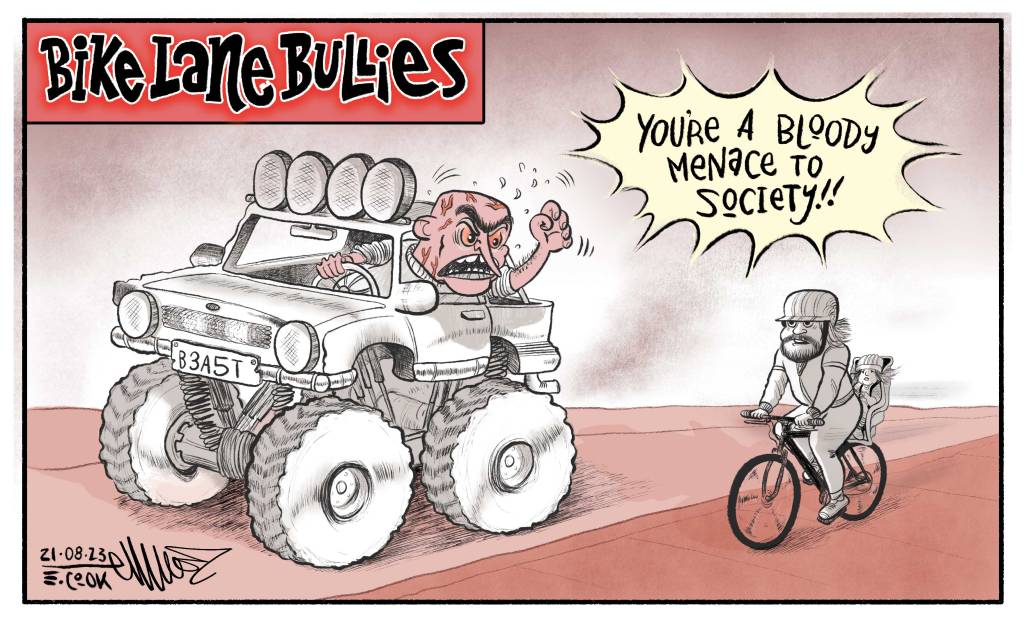 Bike Lane Bullies